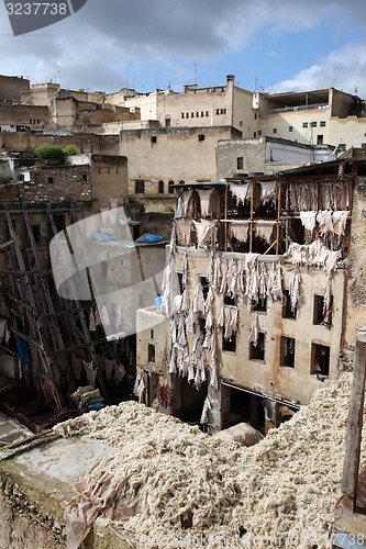 Image of AFRICA MOROCCO FES