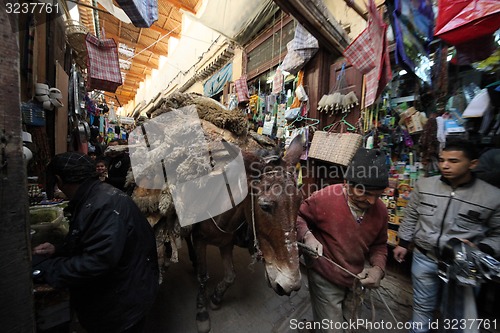 Image of AFRICA MOROCCO FES