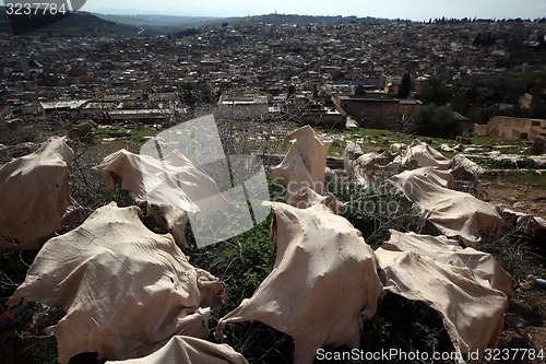 Image of AFRICA MOROCCO FES