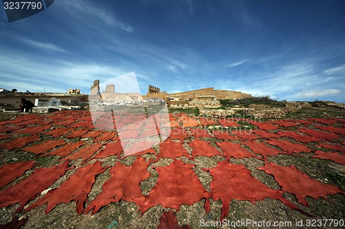 Image of AFRICA MOROCCO FES