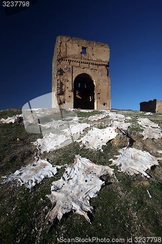 Image of AFRICA MOROCCO FES