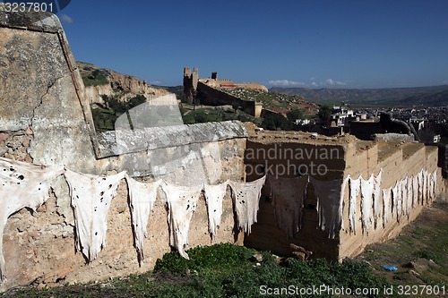 Image of AFRICA MOROCCO FES