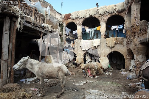 Image of AFRICA MOROCCO FES