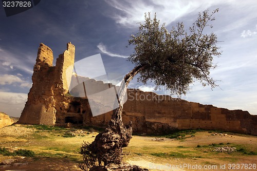 Image of AFRICA MOROCCO FES