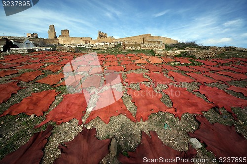 Image of AFRICA MOROCCO FES