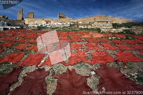 Image of AFRICA MOROCCO FES