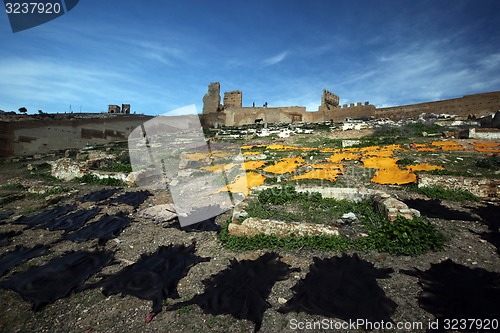 Image of AFRICA MOROCCO FES