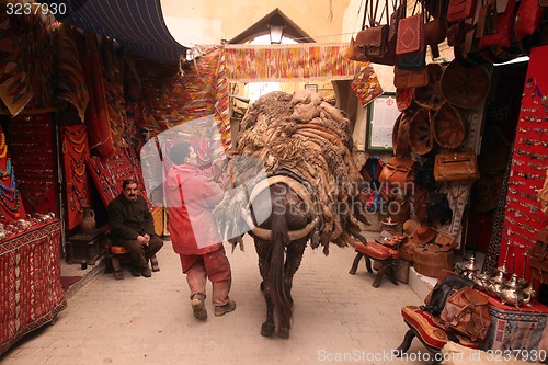 Image of AFRICA MOROCCO FES