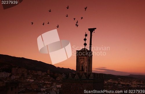 Image of AFRICA MOROCCO FES