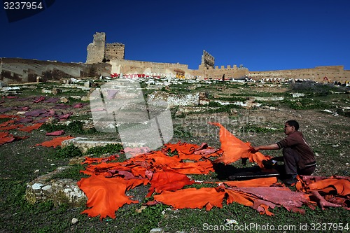 Image of AFRICA MOROCCO FES