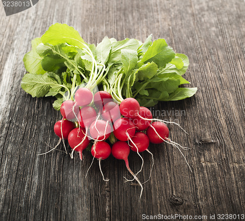 Image of Radish