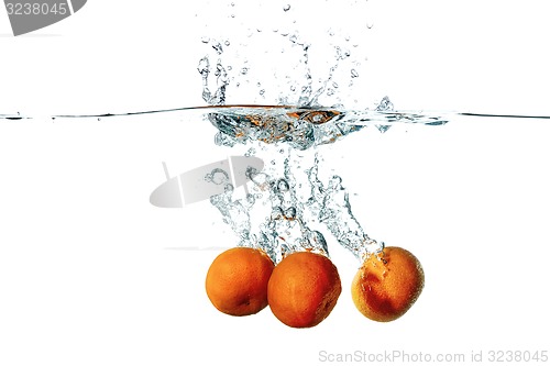 Image of Fresh tangerine fruits falling in water splash