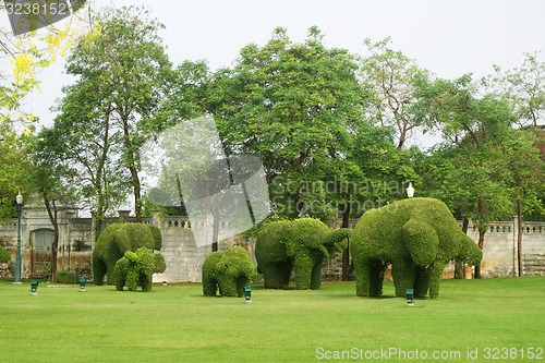 Image of The green elephant trees in Bang Pa-In Palace