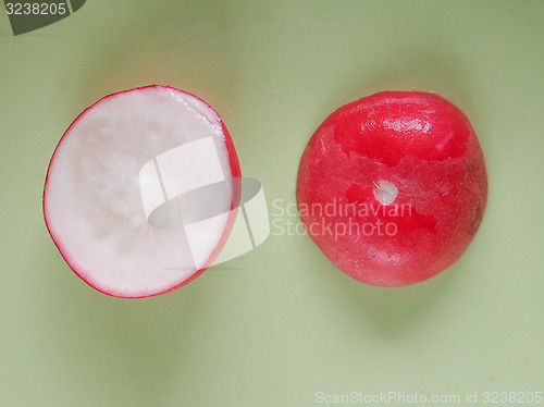 Image of Radish vegetable 