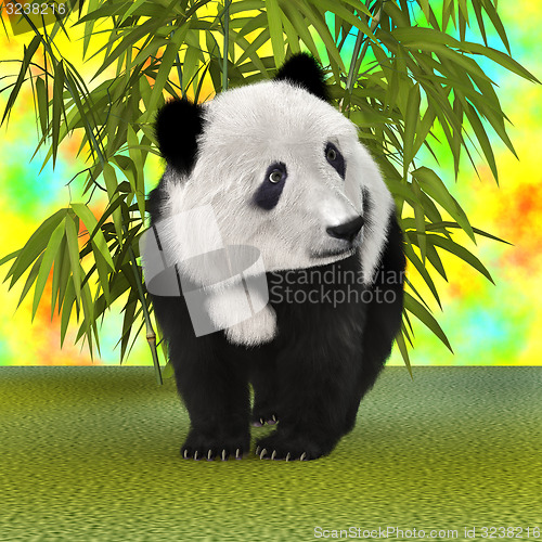 Image of Panda Bear Cub