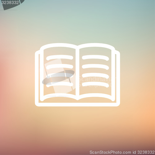 Image of Open book thin line icon