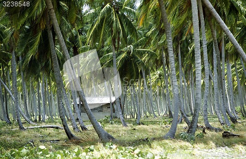 Image of AMERICA CARIBBIAN SEA DOMINICAN REPUBLIC