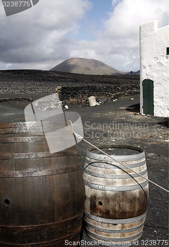 Image of EUROPE CANARY ISLANDS LANZAROTE