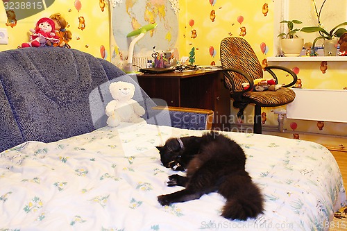 Image of black cat sleeping on the bed in children's room