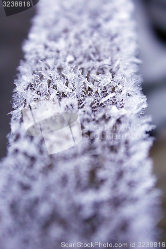 Image of hoar-frost on the wood