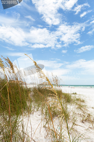 Image of Siesta Key Florida