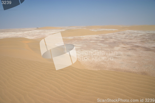 Image of Desert in Qatar