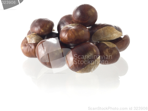 Image of chestnut