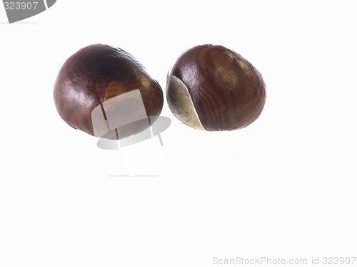 Image of chestnut