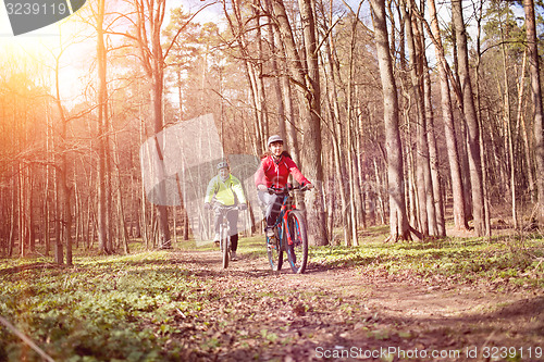 Image of Young people riding bikes