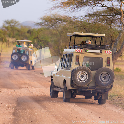 Image of Jeeps on african wildlife safari. 