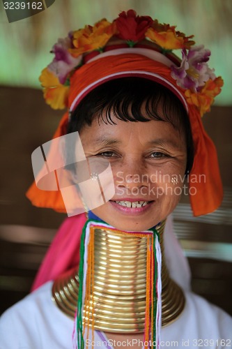 Image of ASIA THAILAND CHIANG MAI WOMEN LONGNECK