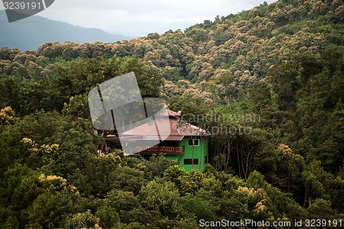 Image of ASIA THAILAND CHIANG MAI FANG