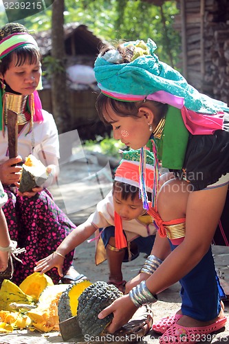 Image of ASIA THAILAND CHIANG MAI WOMEN LONGNECK