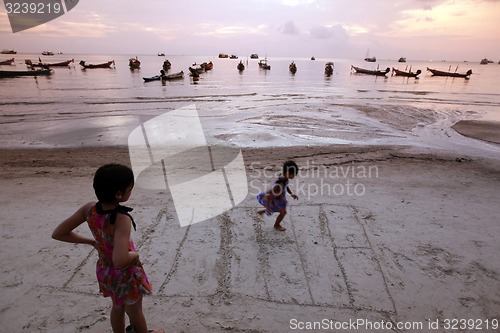 Image of ASIA THAILAND KO TAO