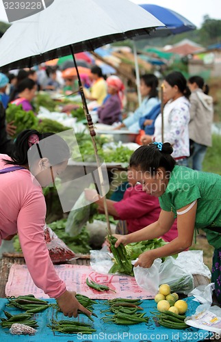 Image of ASIA THAILAND CHIANG MAI CHIANG DAO MARKET