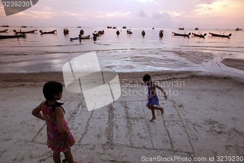 Image of ASIA THAILAND KO TAO