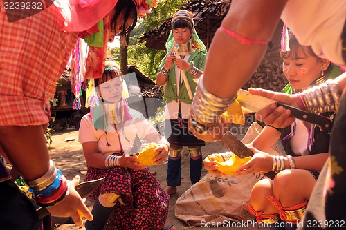 Image of ASIA THAILAND CHIANG MAI WOMEN LONGNECK