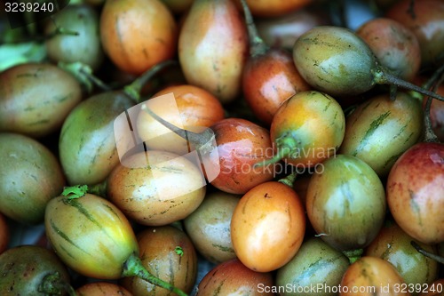 Image of ASIA THAILAND CHIANG MAI CHIANG DAO MARKET