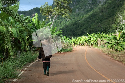 Image of ASIA THAILAND CHIANG MAI CHIANG DAO MINORITY