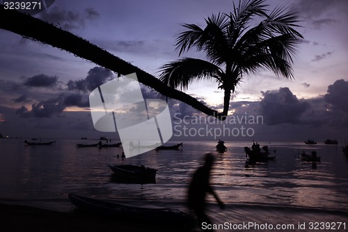 Image of ASIA THAILAND KO TAO