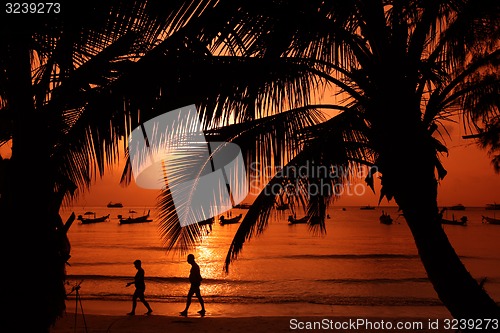 Image of ASIA THAILAND KO TAO