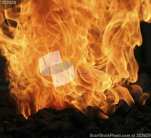 Image of Fire