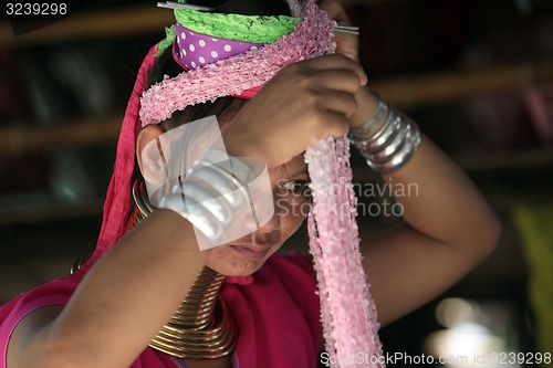 Image of ASIA THAILAND CHIANG MAI WOMEN LONGNECK