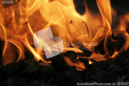 Image of Fire