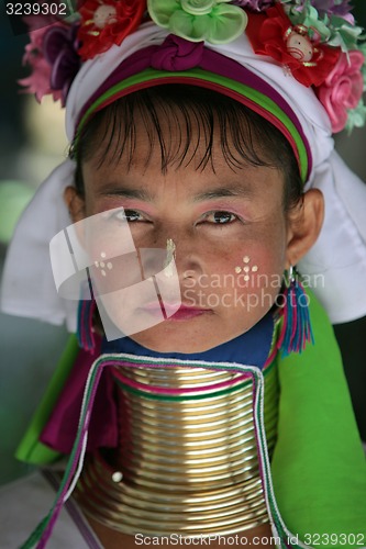 Image of ASIA THAILAND CHIANG MAI WOMEN LONGNECK