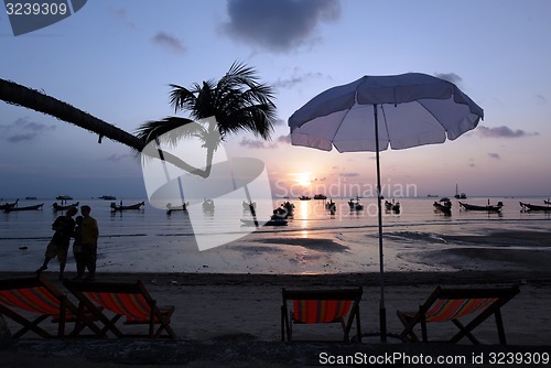 Image of ASIA THAILAND KO TAO