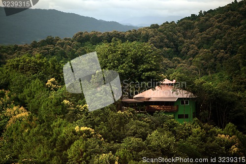 Image of ASIA THAILAND CHIANG MAI FANG