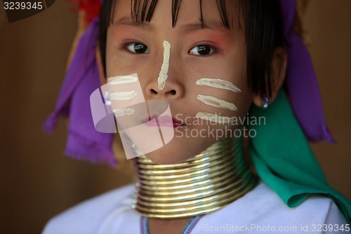 Image of ASIA THAILAND CHIANG MAI WOMEN LONGNECK