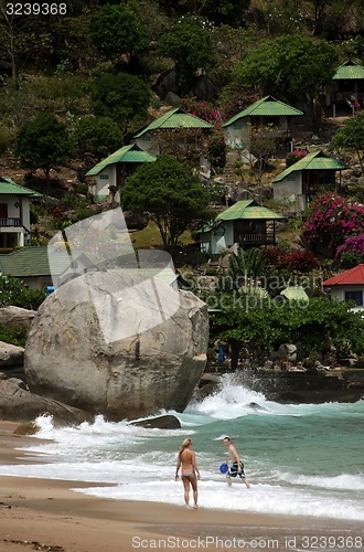 Image of ASIA THAILAND KO TAO 