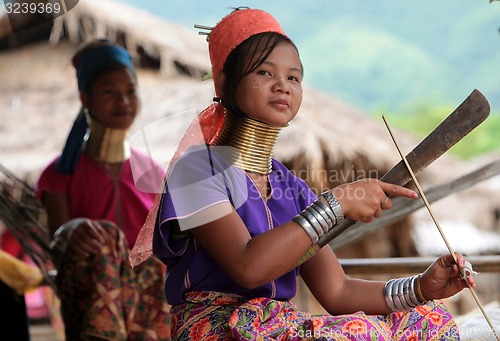 Image of ASIA THAILAND CHIANG MAI WOMEN LONGNECK